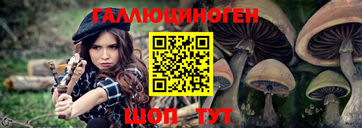 Галлюциногенные грибы MAGIC MUSHROOMS  Вход с VPN  Бердск  Псилоцибиновые грибы мицелий 