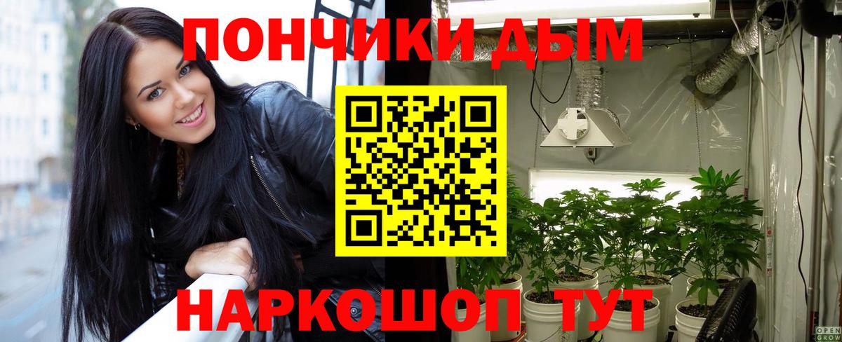 Бошки Шишки гибрид  Каннабис индика  Конопля ГИДРОПОН  Вход с VPN  Бердск 